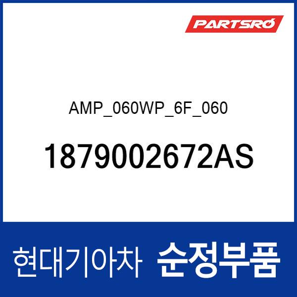 AMP_060WP_6F_060 (1879002672AS)